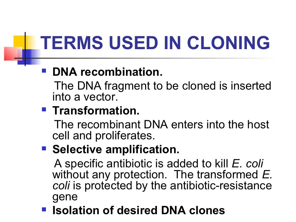 Dna cloning intro
