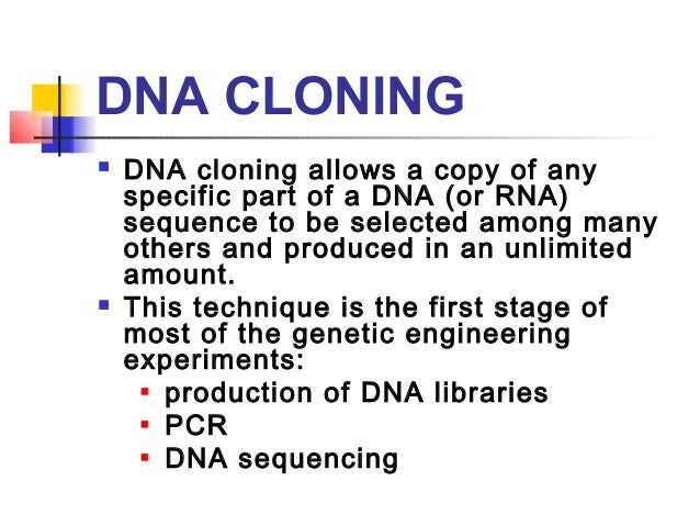 dna cloning