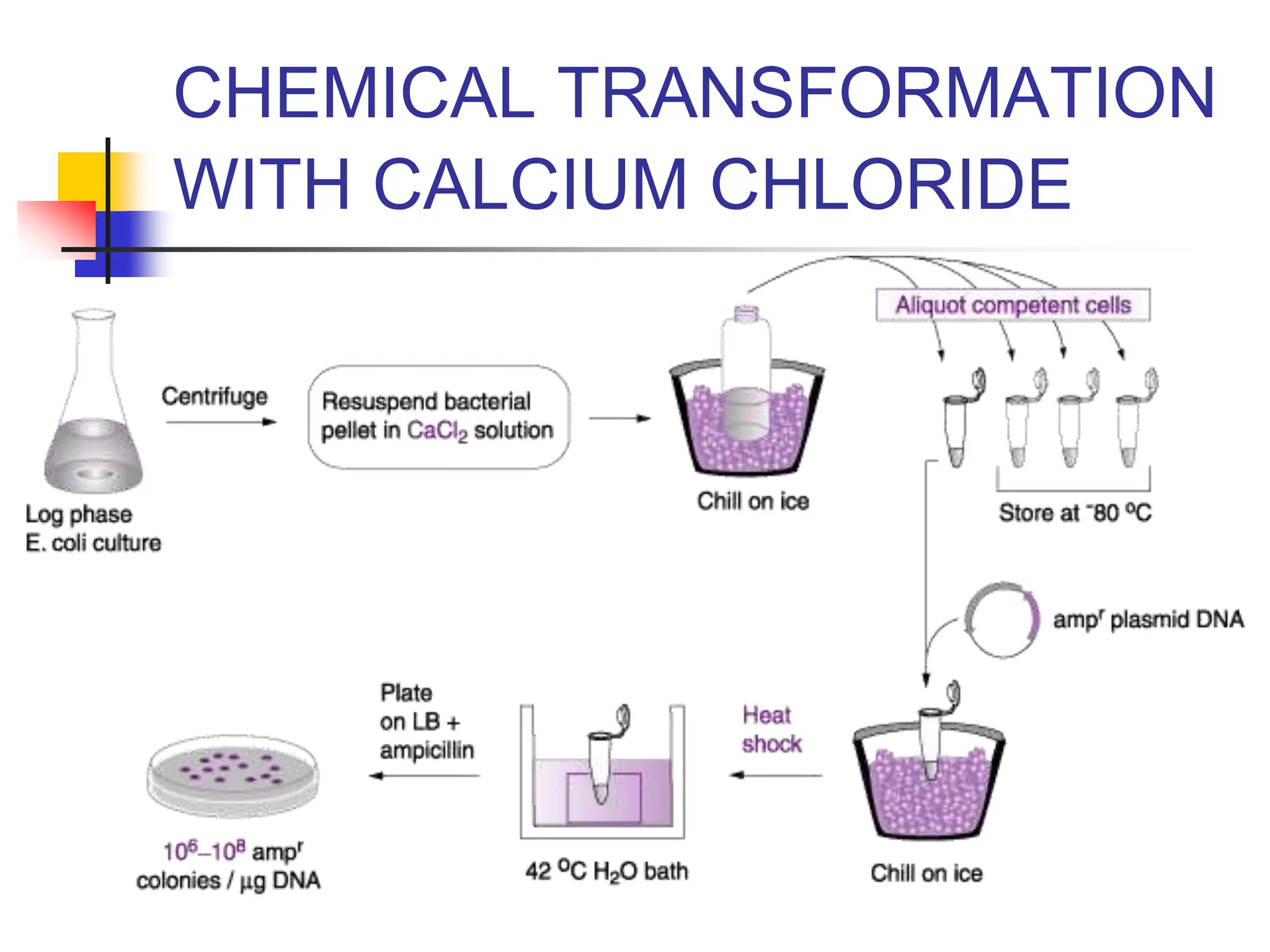 CHEMICAL TRANSFORMATION
WITH CALCIUM CHLORIDE
 