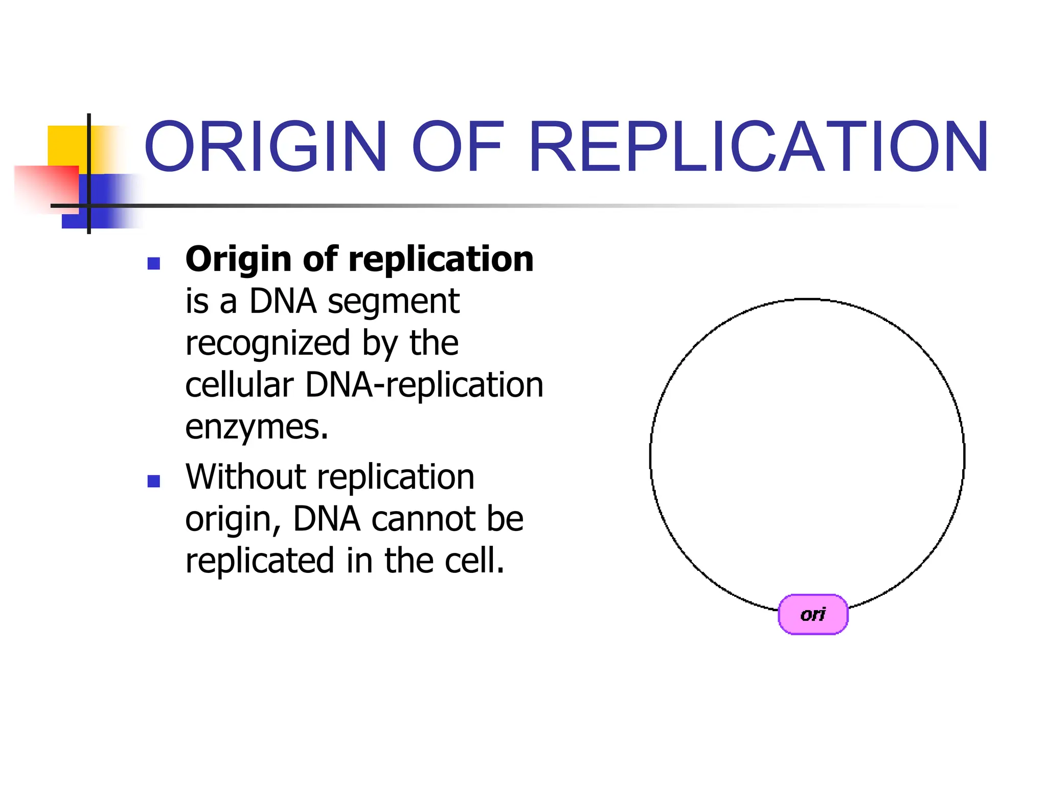 ORIGIN OF REPLICATION
 Origin of replication
is a DNA segment
recognized by the
cellular DNA-replication
enzymes.
 Without replication
origin, DNA cannot be
replicated in the cell.
 
