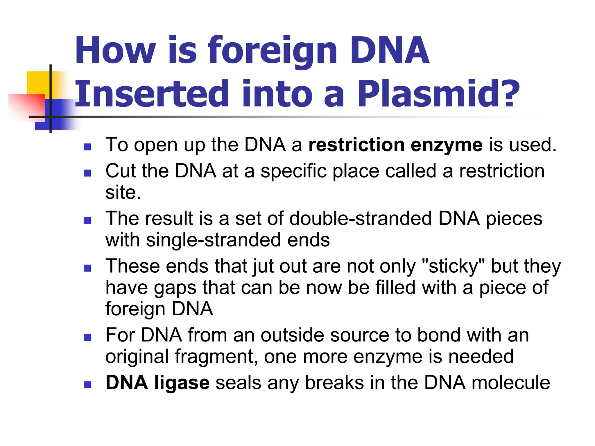 How is foreign DNA
Inserted into a Plasmid?
 To open up the DNA a restriction enzyme is used.
 Cut the DNA at a specific place called a restriction
site.
 The result is a set of double-stranded DNA pieces
with single-stranded ends
 These ends that jut out are not only "sticky" but they
have gaps that can be now be filled with a piece of
foreign DNA
 For DNA from an outside source to bond with an
original fragment, one more enzyme is needed
 DNA ligase seals any breaks in the DNA molecule
 