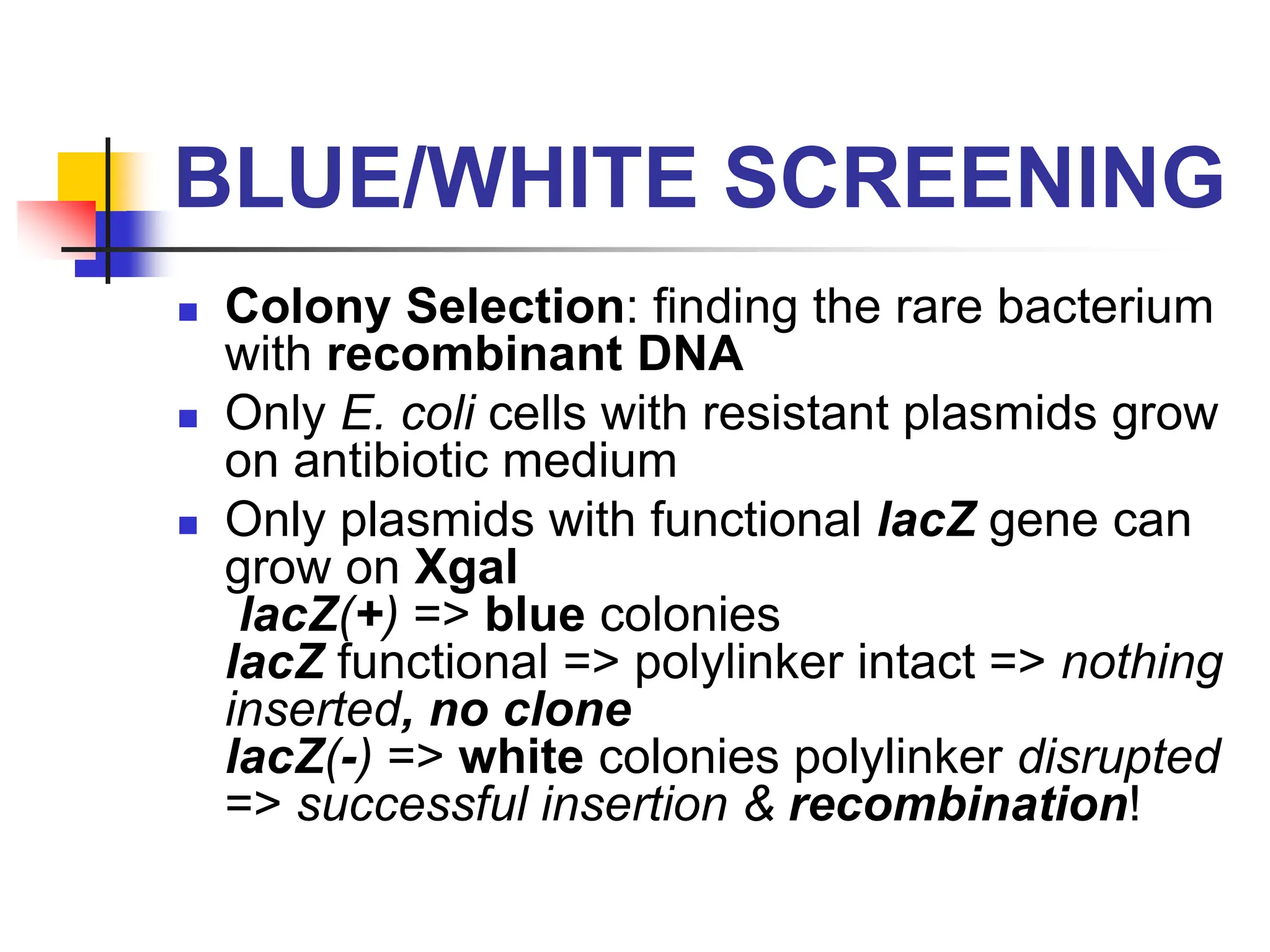 BLUE/WHITE SCREENING
 Colony Selection: finding the rare bacterium
with recombinant DNA
 Only E. coli cells with resistant plasmids grow
on antibiotic medium
 Only plasmids with functional lacZ gene can
grow on Xgal
lacZ(+) => blue colonies
lacZ functional => polylinker intact => nothing
inserted, no clone
lacZ(-) => white colonies polylinker disrupted
=> successful insertion & recombination!
 