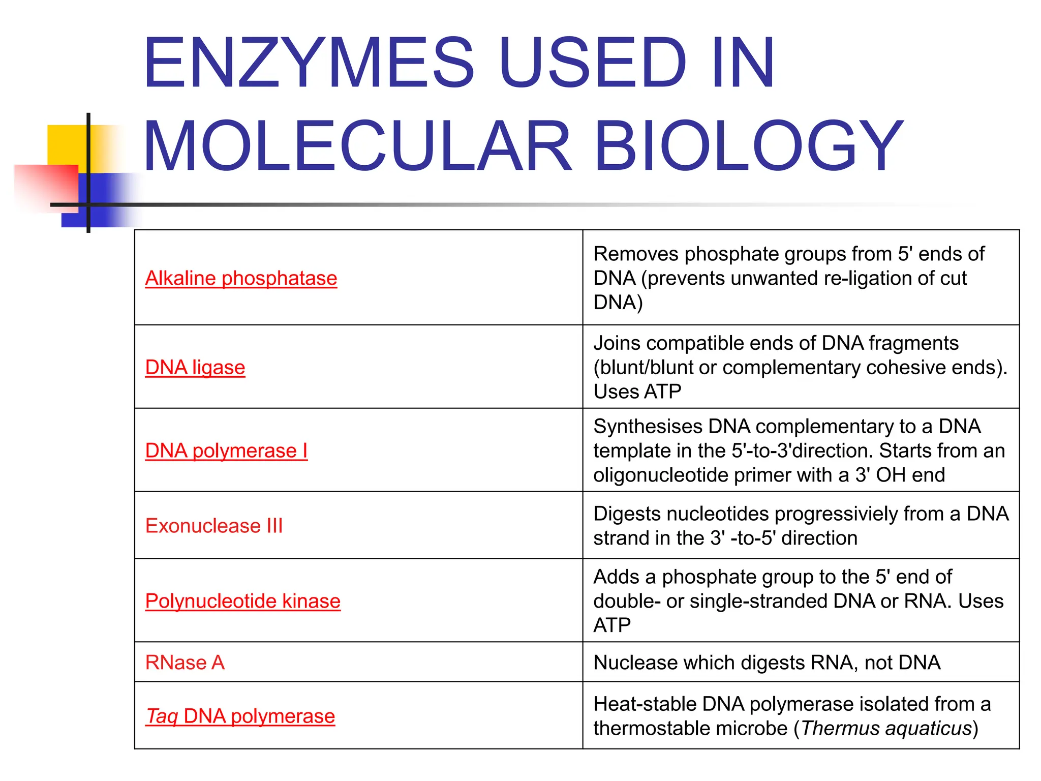 Alkaline phosphatase
Removes phosphate groups from 5' ends of
DNA (prevents unwanted re-ligation of cut
DNA)
DNA ligase
Joins compatible ends of DNA fragments
(blunt/blunt or complementary cohesive ends).
Uses ATP
DNA polymerase I
Synthesises DNA complementary to a DNA
template in the 5'-to-3'direction. Starts from an
oligonucleotide primer with a 3' OH end
Exonuclease III
Digests nucleotides progressiviely from a DNA
strand in the 3' -to-5' direction
Polynucleotide kinase
Adds a phosphate group to the 5' end of
double- or single-stranded DNA or RNA. Uses
ATP
RNase A Nuclease which digests RNA, not DNA
Taq DNA polymerase
Heat-stable DNA polymerase isolated from a
thermostable microbe (Thermus aquaticus)
ENZYMES USED IN
MOLECULAR BIOLOGY
 