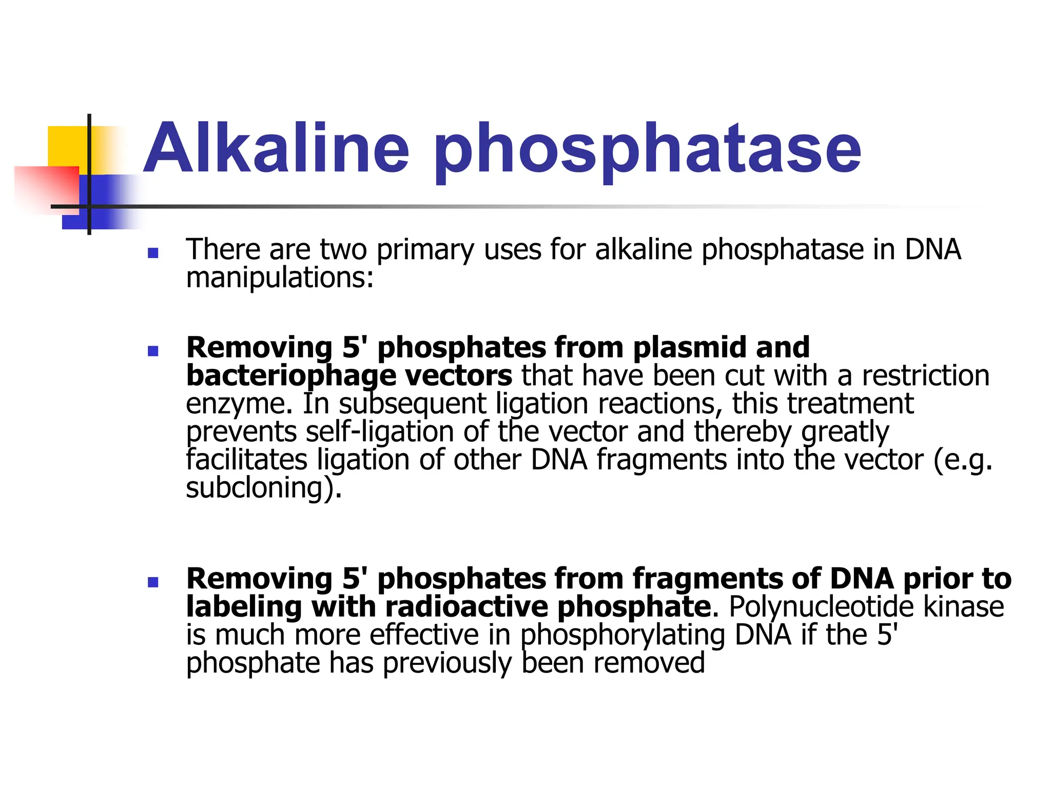 Alkaline phosphatase
 There are two primary uses for alkaline phosphatase in DNA
manipulations:
 Removing 5' phosphates from plasmid and
bacteriophage vectors that have been cut with a restriction
enzyme. In subsequent ligation reactions, this treatment
prevents self-ligation of the vector and thereby greatly
facilitates ligation of other DNA fragments into the vector (e.g.
subcloning).
 Removing 5' phosphates from fragments of DNA prior to
labeling with radioactive phosphate. Polynucleotide kinase
is much more effective in phosphorylating DNA if the 5'
phosphate has previously been removed
 
