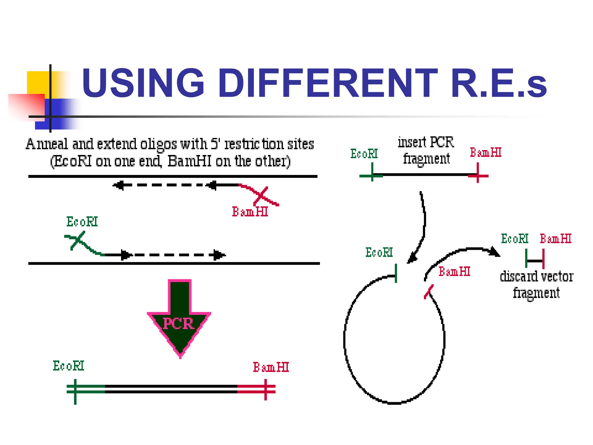 USING DIFFERENT R.E.s
 