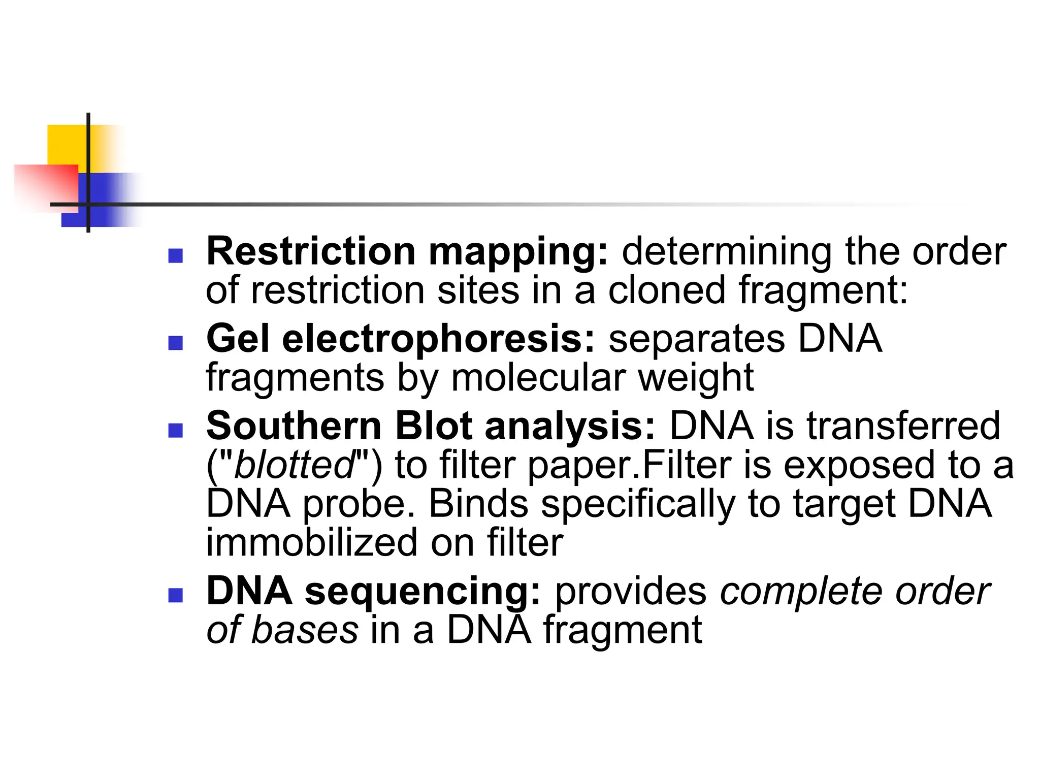  Restriction mapping: determining the order
of restriction sites in a cloned fragment:
 Gel electrophoresis: separates DNA
fragments by molecular weight
 Southern Blot analysis: DNA is transferred
("blotted") to filter paper.Filter is exposed to a
DNA probe. Binds specifically to target DNA
immobilized on filter
 DNA sequencing: provides complete order
of bases in a DNA fragment
 