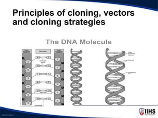Principles of cloning, vectors
and cloning strategies
 