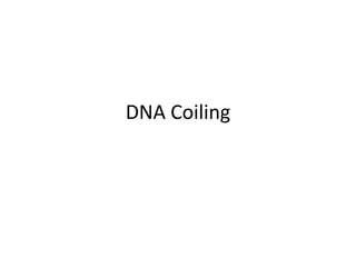 DNA Coiling
 