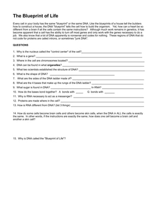 Dna the double helix coloring worksheet answers