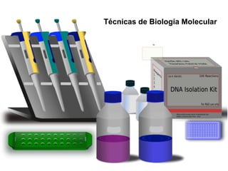Técnicas de Biología Molecular
 