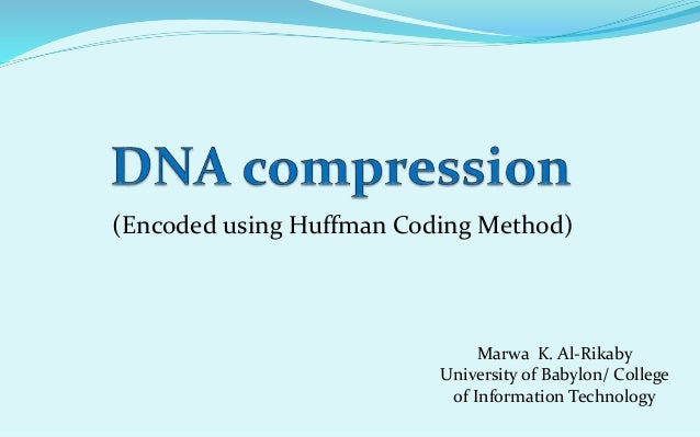 Dna compression thesis