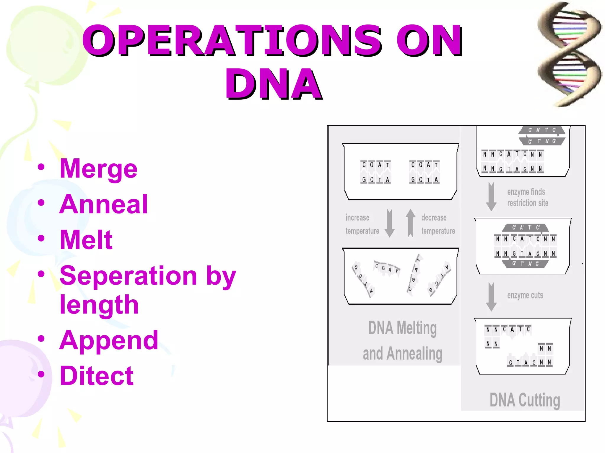 OPERATIONS ON
         DNA
• Merge
• Anneal
• Melt
• Seperation by
  length
• Append
• Ditect
 