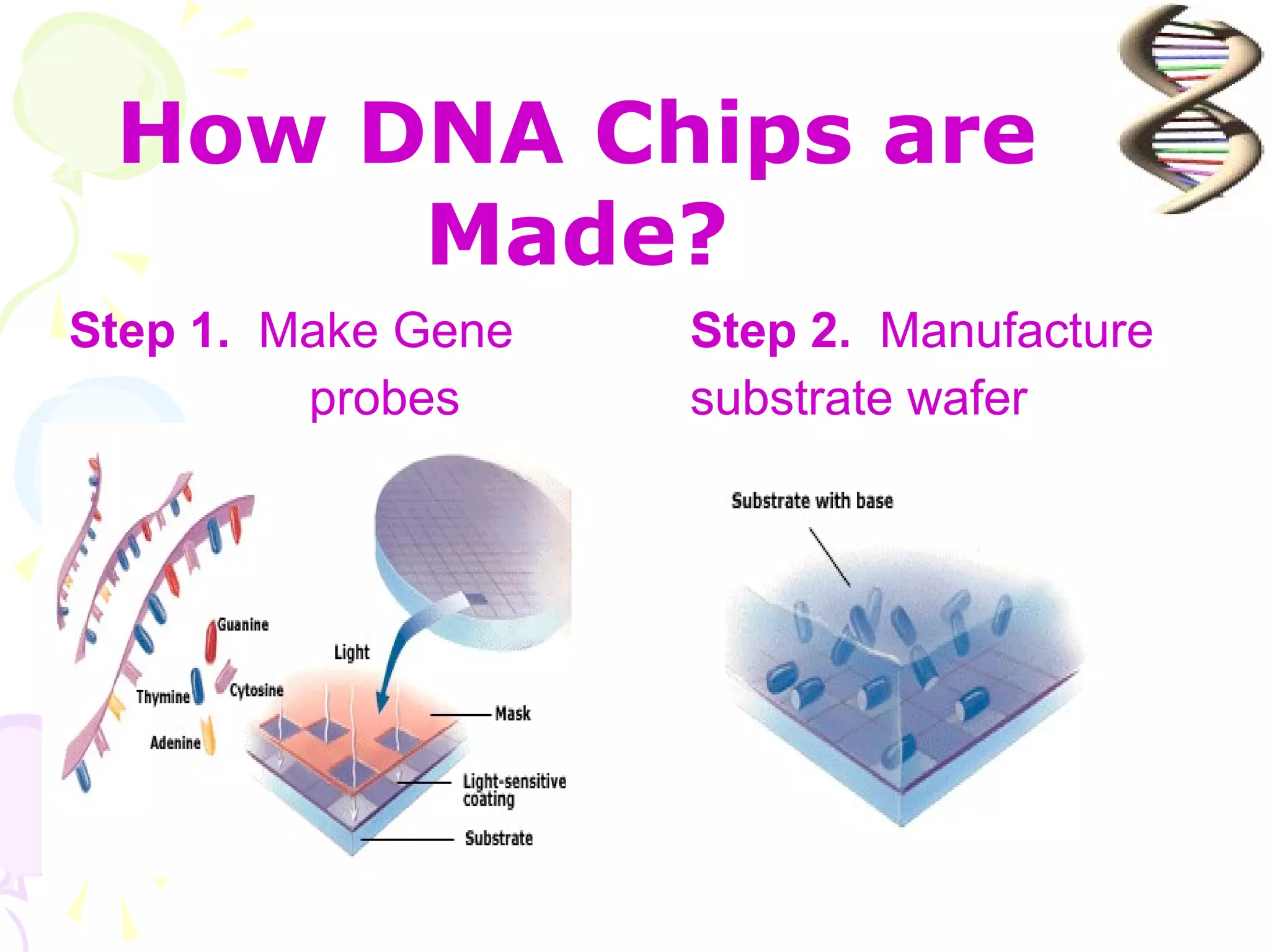 How DNA Chips are
      Made?
Step 1. Make Gene   Step 2. Manufacture
         probes     substrate wafer
 