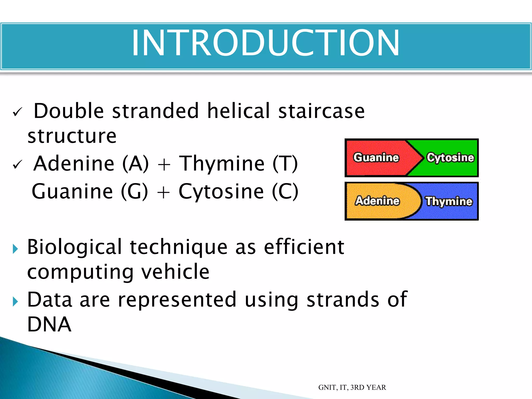  Double stranded helical staircase
structure
 Adenine (A) + Thymine (T)
Guanine (G) + Cytosine (C)
 Biological technique as efficient
computing vehicle
 Data are represented using strands of
DNA
GNIT, IT, 3RD YEAR
INTRODUCTION
 