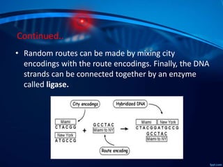 Continued..
• Random routes can be made by mixing city
encodings with the route encodings. Finally, the DNA
strands can be connected together by an enzyme
called ligase.
 