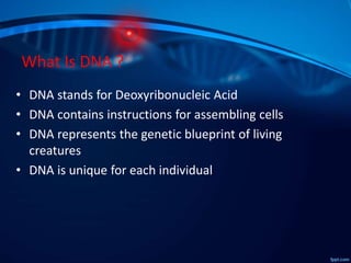 What Is DNA ?
• DNA stands for Deoxyribonucleic Acid
• DNA contains instructions for assembling cells
• DNA represents the genetic blueprint of living
creatures
• DNA is unique for each individual
 