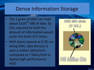 Dense Information Storage
• The 1 gram of DNA can hold
about 1x1014
MB of data. So
CDs required to hold this
amount of information would
circle the Earth 375 times.
• With bases spaced at 0.35 nm
along DNA, data density is
over a million Gbits/inch
compared to 7 Gbits/inch in
typical high performance
HDD.
 