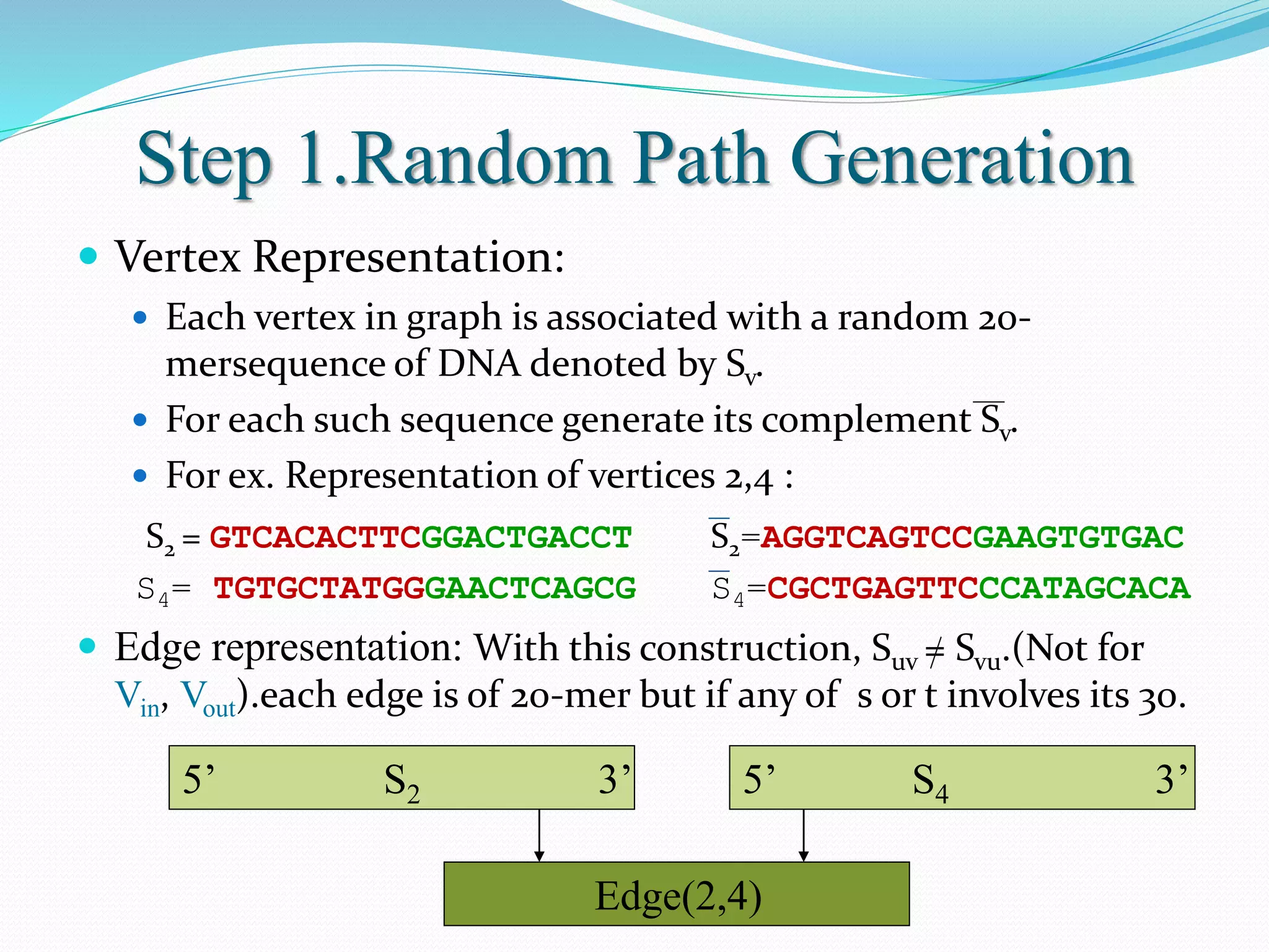 Step 1.Random Path Generation
 Vertex Representation:
 Each vertex in graph is associated with a random 20-
mersequence of DNA denoted by Sv.
 For each such sequence generate its complement Sv.
 For ex. Representation of vertices 2,4 :
S2 = GTCACACTTCGGACTGACCT S2=AGGTCAGTCCGAAGTGTGAC
S4= TGTGCTATGGGAACTCAGCG S4=CGCTGAGTTCCCATAGCACA
 Edge representation: With this construction, Suv = Svu.(Not for
Vin, Vout).each edge is of 20-mer but if any of s or t involves its 30.
5’ S2 3’ 5’ S4 3’
Edge(2,4)
 