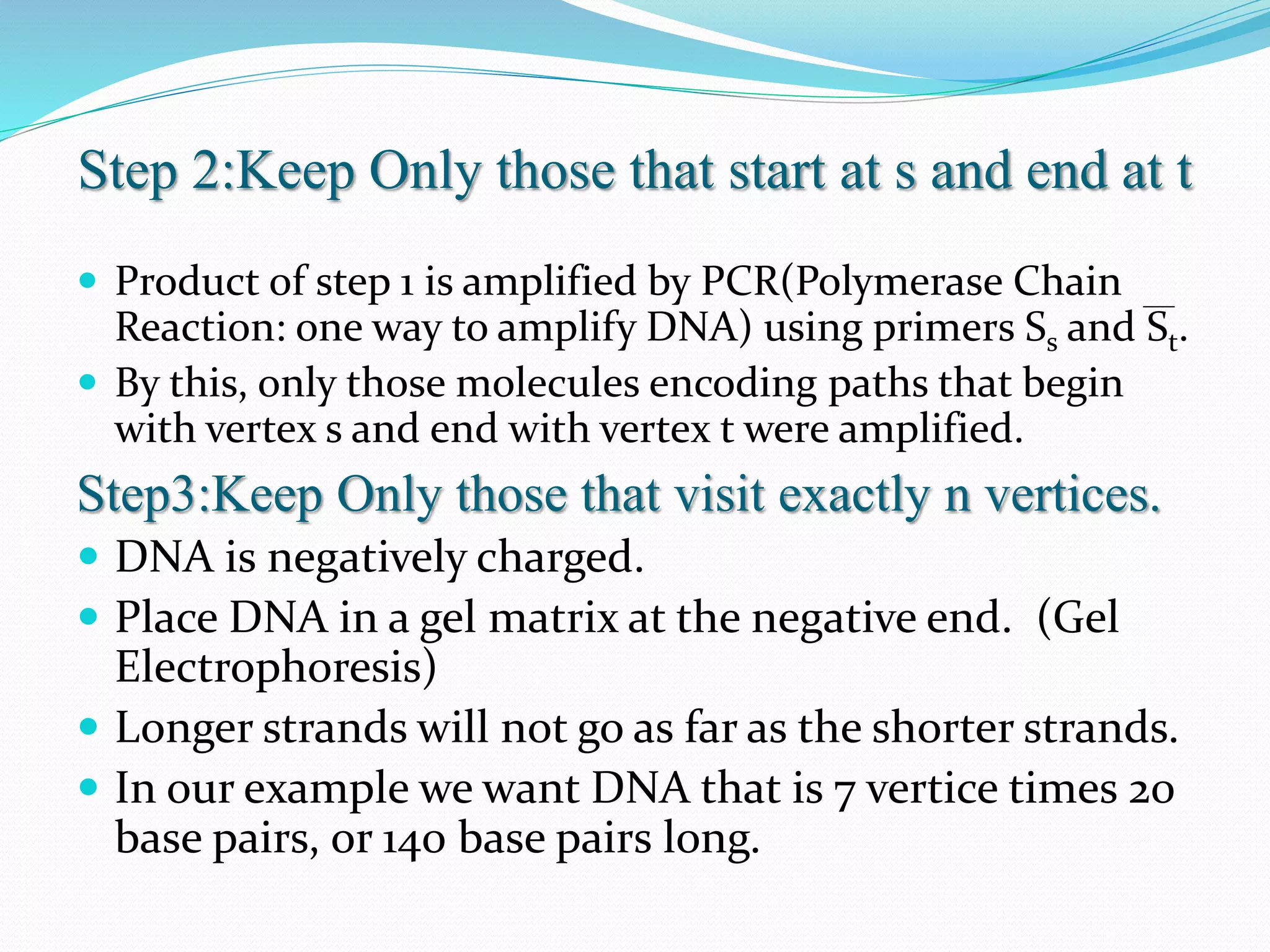 Step 2:Keep Only those that start at s and end at t
 Product of step 1 is amplified by PCR(Polymerase Chain
Reaction: one way to amplify DNA) using primers Ss and St.
 By this, only those molecules encoding paths that begin
with vertex s and end with vertex t were amplified.
Step3:Keep Only those that visit exactly n vertices.
 DNA is negatively charged.
 Place DNA in a gel matrix at the negative end. (Gel
Electrophoresis)
 Longer strands will not go as far as the shorter strands.
 In our example we want DNA that is 7 vertice times 20
base pairs, or 140 base pairs long.
 
