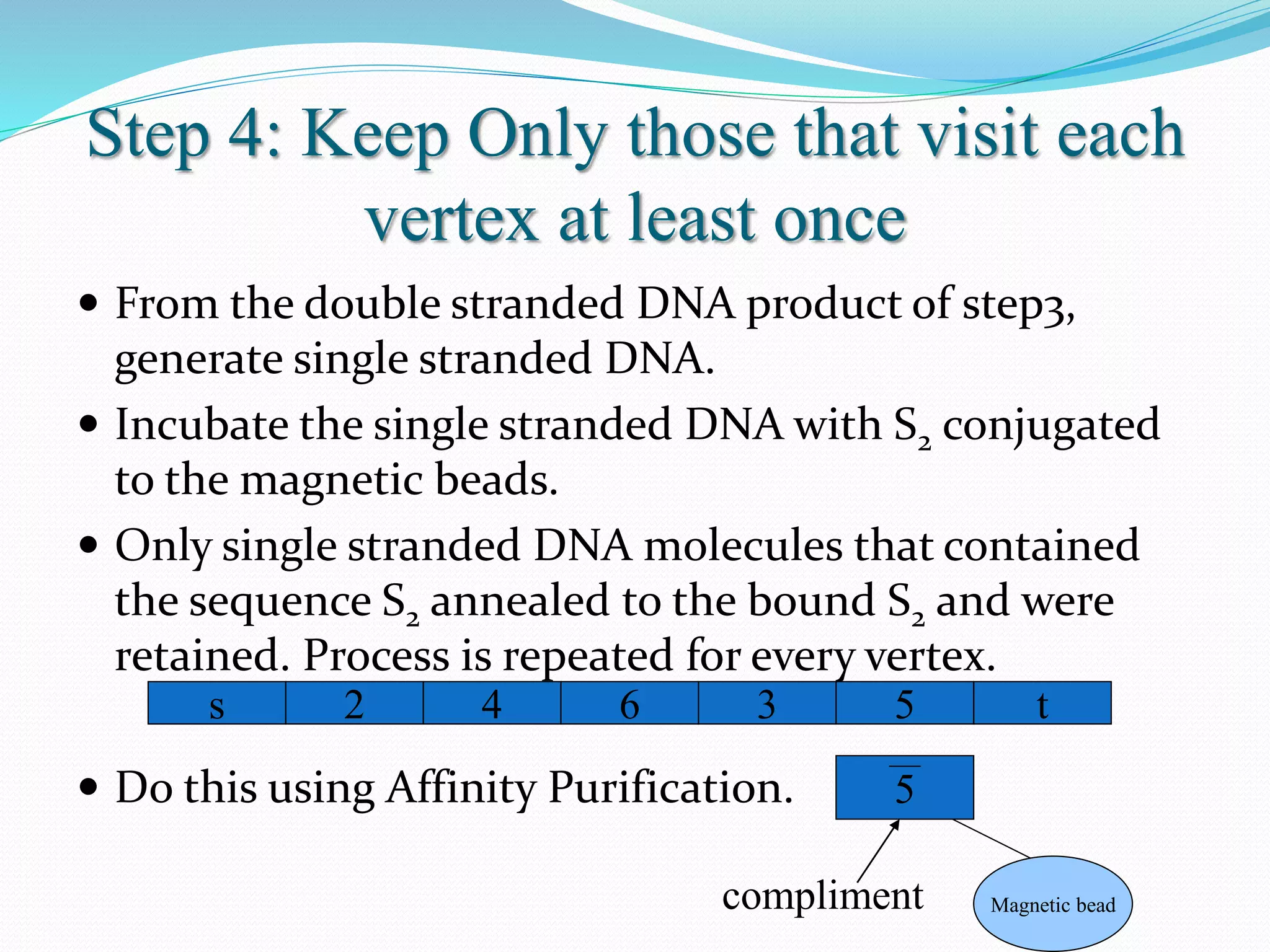 Step 4: Keep Only those that visit each
vertex at least once
 From the double stranded DNA product of step3,
generate single stranded DNA.
 Incubate the single stranded DNA with S2 conjugated
to the magnetic beads.
 Only single stranded DNA molecules that contained
the sequence S2 annealed to the bound S2 and were
retained. Process is repeated for every vertex.
 Do this using Affinity Purification.
s 2 t4 6 3 5
5
compliment Magnetic bead
 