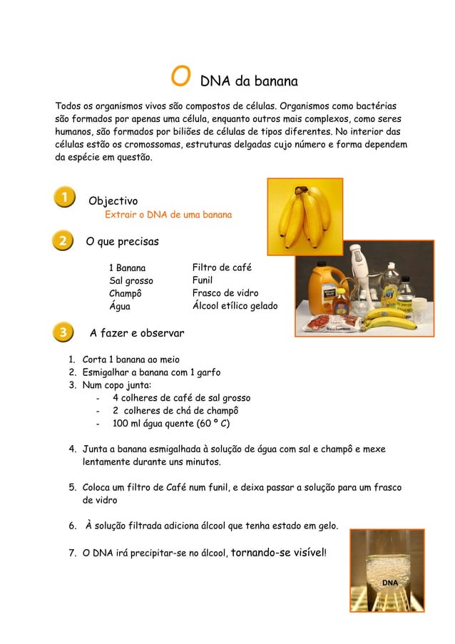 Como extrair DNA de banana PDF
