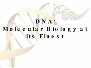 DNA: Molecular Biology at its Finest 