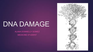 DNA DAMAGE
ALANA DONNELLY GOMEZ
MEDICINE STUDENT
 