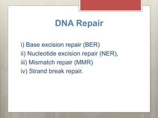 DNA damage and repair