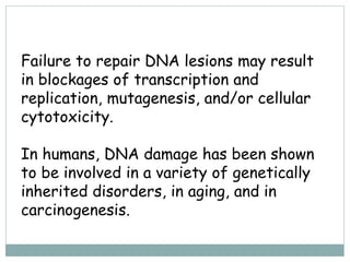 Dna damage | PDF