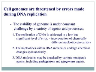Dna damage | PDF