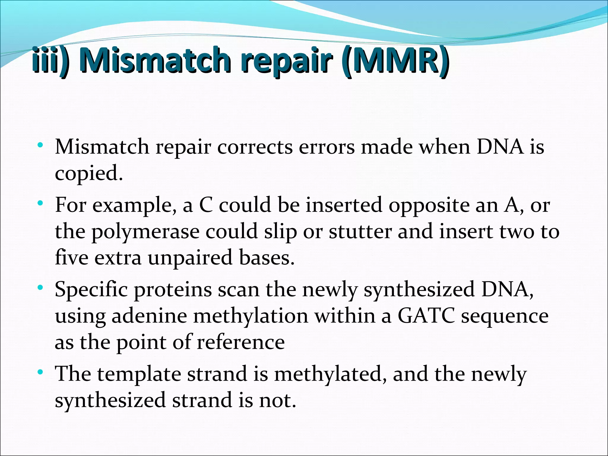 iii) Mismatch repair (MMR)iii) Mismatch repair (MMR)
• Mismatch repair corrects errors made when DNA is
copied.
• For example, a C could be inserted opposite an A, or
the polymerase could slip or stutter and insert two to
five extra unpaired bases.
• Specific proteins scan the newly synthesized DNA,
using adenine methylation within a GATC sequence
as the point of reference
• The template strand is methylated, and the newly
synthesized strand is not.
 