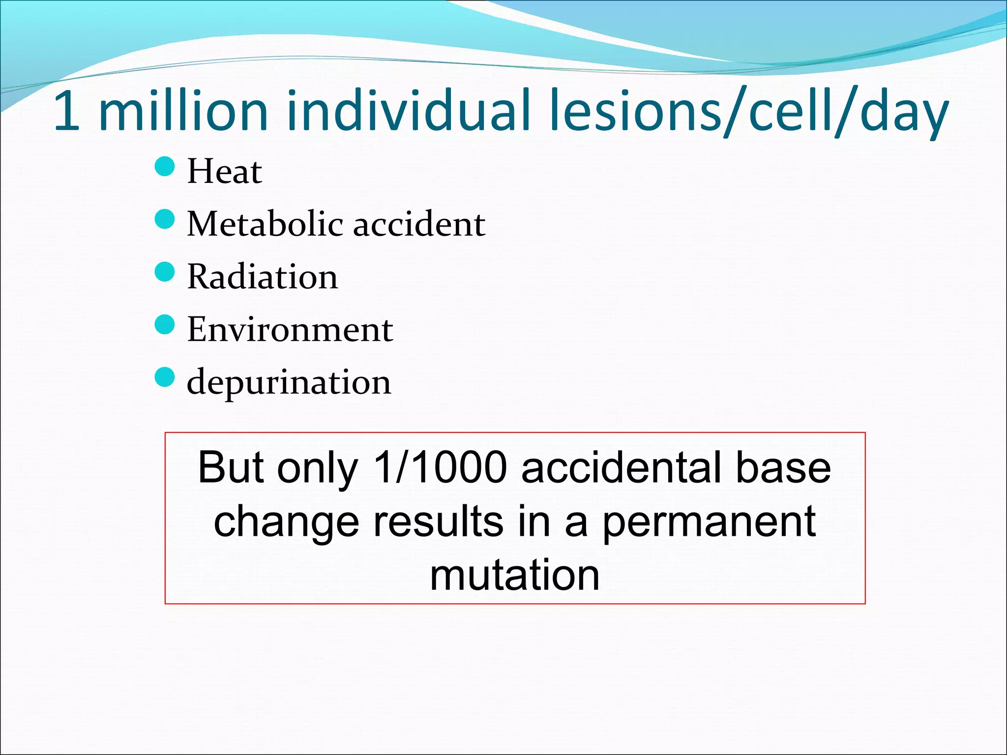 1 million individual lesions/cell/day
Heat
Metabolic accident
Radiation
Environment
depurination
But only 1/1000 accidental base
change results in a permanent
mutation
 