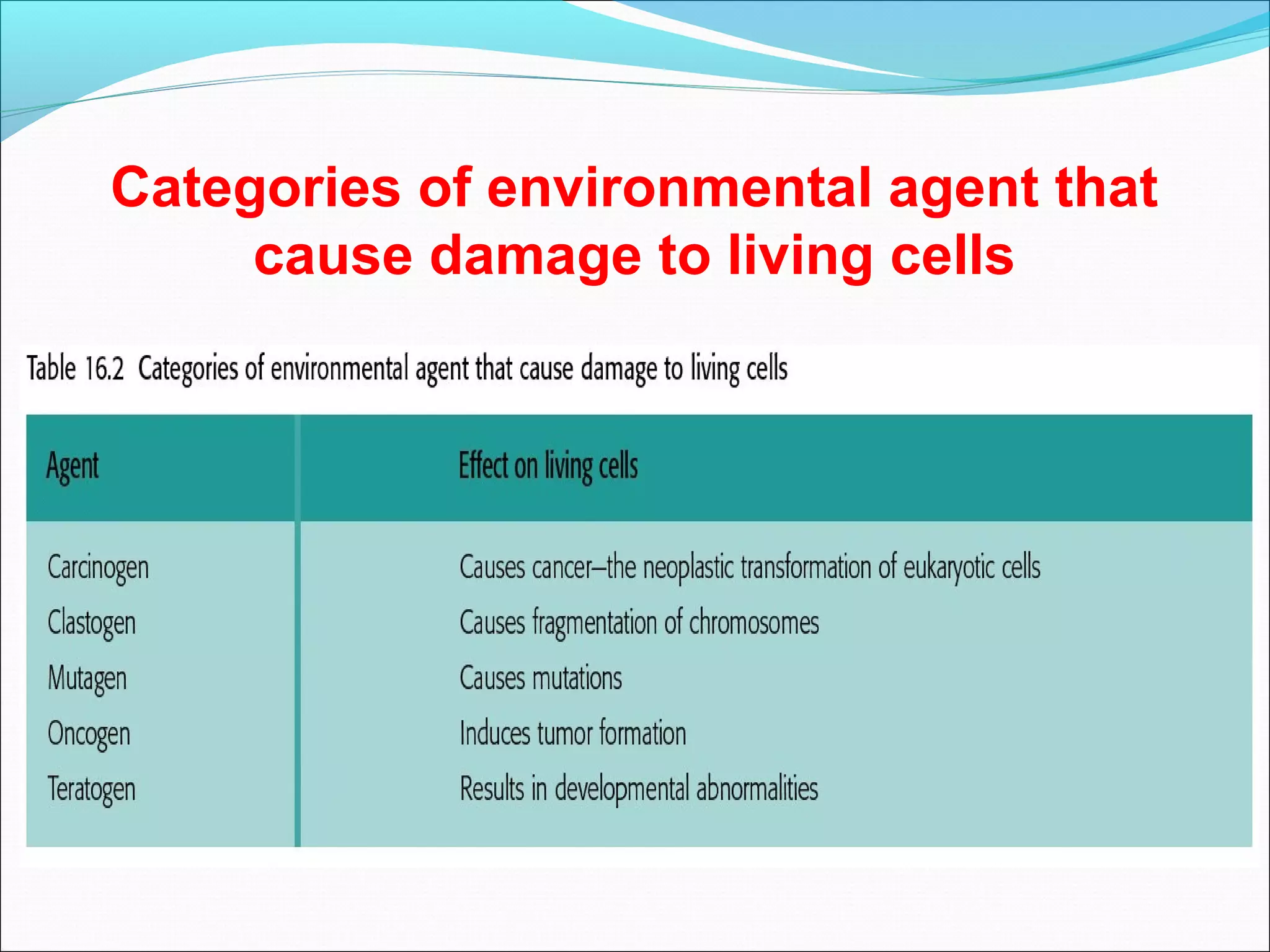 Categories of environmental agent that
cause damage to living cells
 