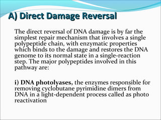 A) Direct Damage ReversalA) Direct Damage Reversal
The direct reversal of DNA damage is by far the
simplest repair mechanism that involves a single
polypeptide chain, with enzymatic properties
which binds to the damage and restores the DNA
genome to its normal state in a single-reaction
step. The major polypeptides involved in this
pathway are:
i) DNA photolyases, the enzymes responsible for
removing cyclobutane pyrimidine dimers from
DNA in a light-dependent process called as photo
reactivation
 