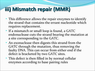 iii) Mismatch repair (MMR)iii) Mismatch repair (MMR)
• This difference allows the repair enzymes to identify
the strand that contains the errant nucleotide which
requires replacement.
• If a mismatch or small loop is found, a GATC
endonuclease cuts the strand bearing the mutation at
a site corresponding to the GATC.
• An exonuclease then digests this strand from the
GATC through the mutation, thus removing the
faulty DNA. This can occur from either end if the
defect is bracketed by two GATC sites.
• This defect is then filled in by normal cellular
enzymes according to base pairing rules
 