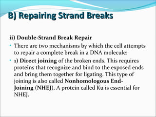 B) Repairing Strand BreaksB) Repairing Strand Breaks
ii) Double-Strand Break Repair
• There are two mechanisms by which the cell attempts
to repair a complete break in a DNA molecule:
• 1) Direct joining of the broken ends. This requires
proteins that recognize and bind to the exposed ends
and bring them together for ligating. This type of
joining is also called Nonhomologous End-
Joining (NHEJ). A protein called Ku is essential for
NHEJ.
 