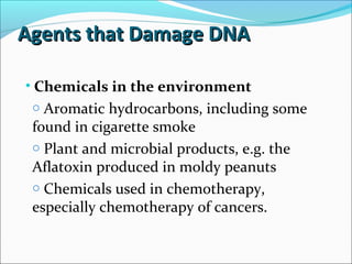 Agents that Damage DNAAgents that Damage DNA
• Chemicals in the environment
o Aromatic hydrocarbons, including some
found in cigarette smoke
o Plant and microbial products, e.g. the
Aflatoxin produced in moldy peanuts
o Chemicals used in chemotherapy,
especially chemotherapy of cancers.
 