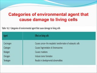 Categories of environmental agent that
cause damage to living cells
 