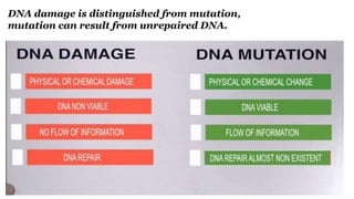 DNA damage is distinguished from mutation,
mutation can result from unrepaired DNA.
 