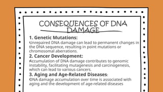 Introduction to DNA damage and repair.pptx