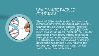 Introduction to DNA damage and repair.pptx