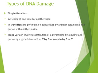 DNA, Damage, Ageing and Disease [Autosaved].pptx