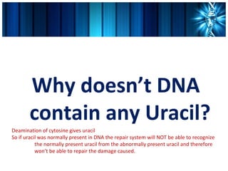 Why doesn’t DNA
       contain any Uracil?
Deamination of cytosine gives uracil
So if uracil was normally present in DNA the repair system will NOT be able to recognize
           the normally present uracil from the abnormally present uracil and therefore
           won’t be able to repair the damage caused.
 