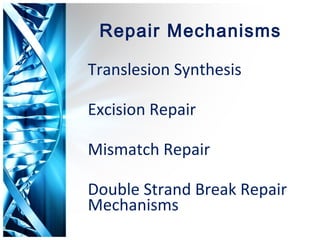 Repair Mechanisms
•




    Translesion Synthesis
•




    Excision Repair
•




    Mismatch Repair
•




    Double Strand Break Repair
    Mechanisms
 