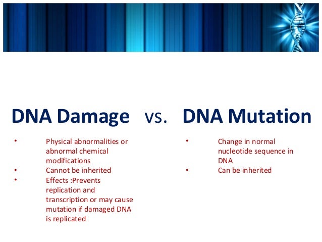 of repair 5 mechanisms dna Dna repair and damage of repair 5 mechanisms dna Dna repair and damage
