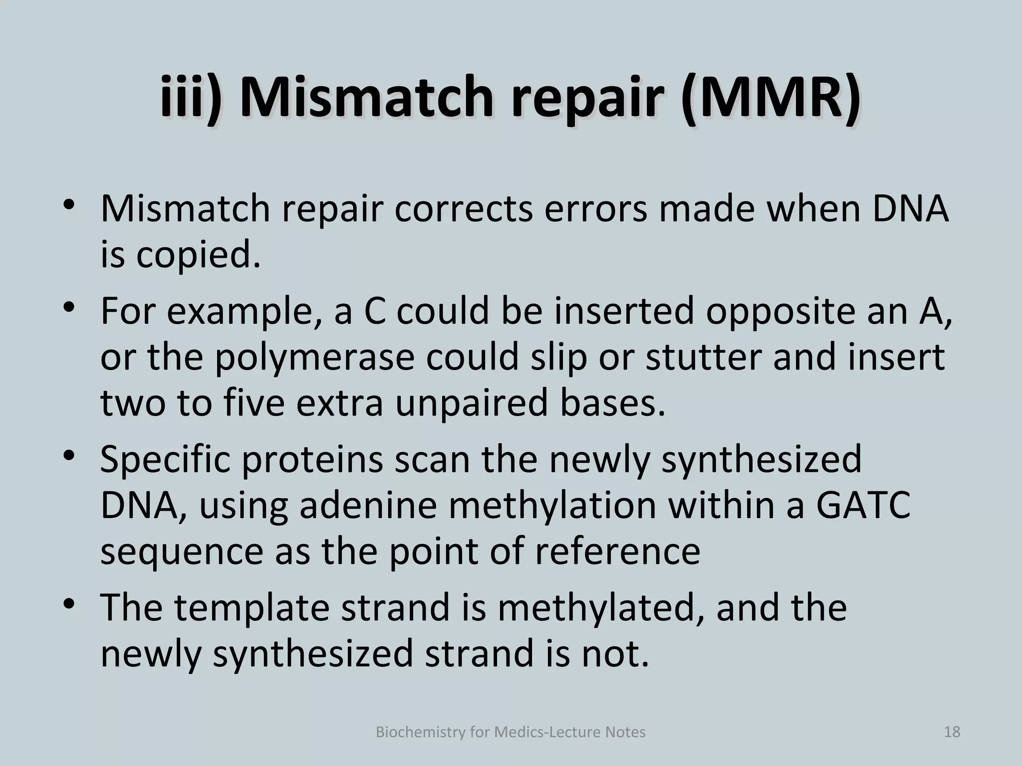 Dna damage and repair Biology Diagrams