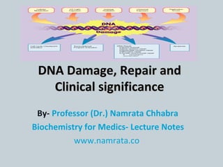 DNA Damage, Repair and
Clinical significance
By- Professor (Dr.) Namrata Chhabra
Biochemistry for Medics- Lecture Notes
www.namrata.co

 