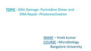 TOPIC : DNA Damage- Pyrimidine Dimer and
DNA Repair- Photoreactivation
NAME – Vivek kumar
COURSE –Microbiology
Bangalore University
 