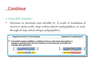 5- Frameshift mutations:
• Deletions or insertions (not divisible by 3) result in translation of
incorrect amino acids, stops codons (shorter polypeptides), or read-
through of stop codons (longer polypeptides).
Continue
..
 
