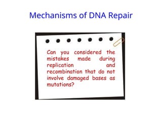 Mechanisms of DNA Repair
Can you considered the
mistakes made during
replication and
recombination that do not
involve damaged bases as
mutations?
 
